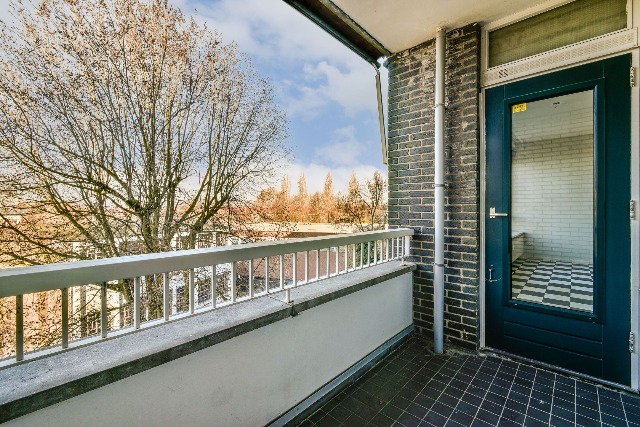 Photo 9 of Parnassusweg 136