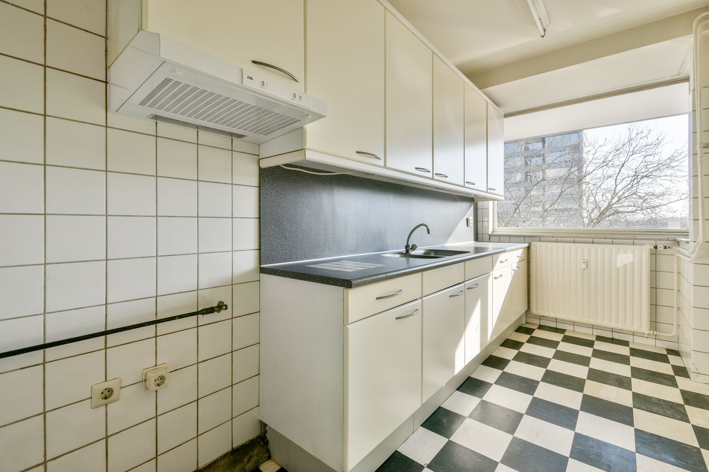 Photo 10 of Parnassusweg 136