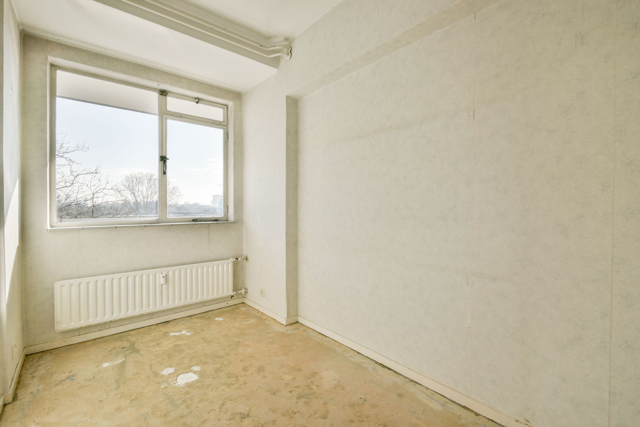 Photo 18 of Parnassusweg 136