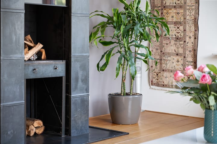 Foto 7 van H.P.J. de Vriesstraat 1