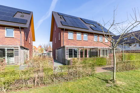 undefined main image