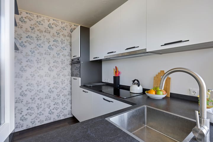 Foto 10 van Pedro Cabralstraat 63