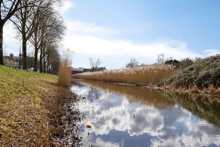 Foto 21 van Pedro Cabralstraat 63