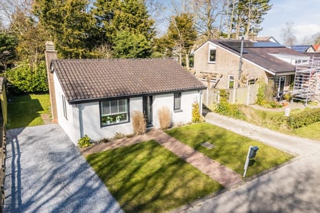 undefined main image