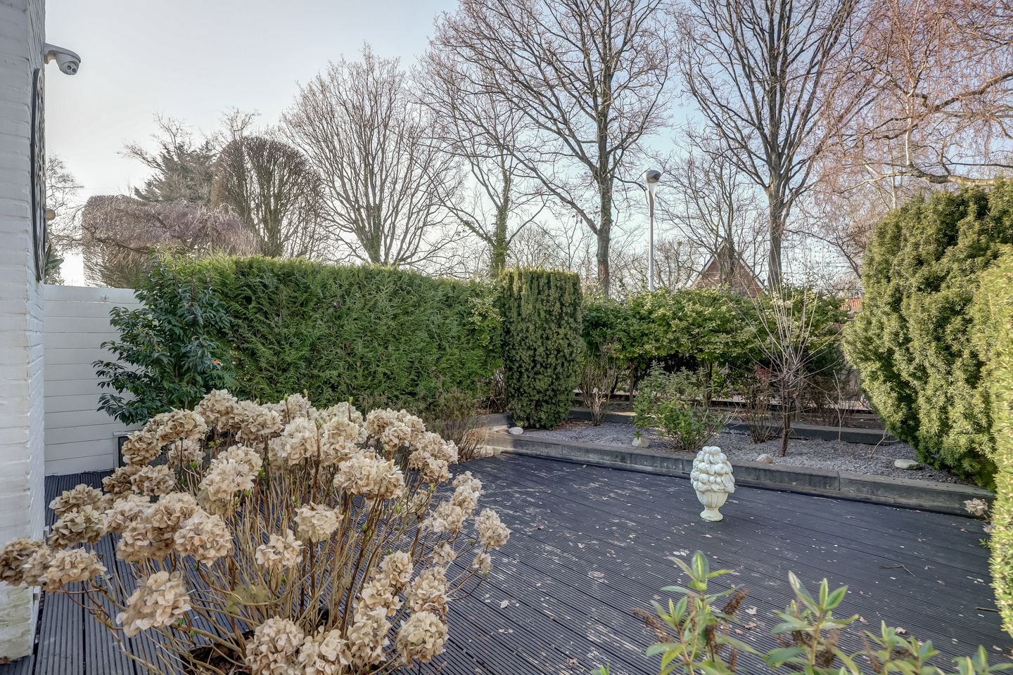 Foto 44 van Albrecht van Beierenstraat 3