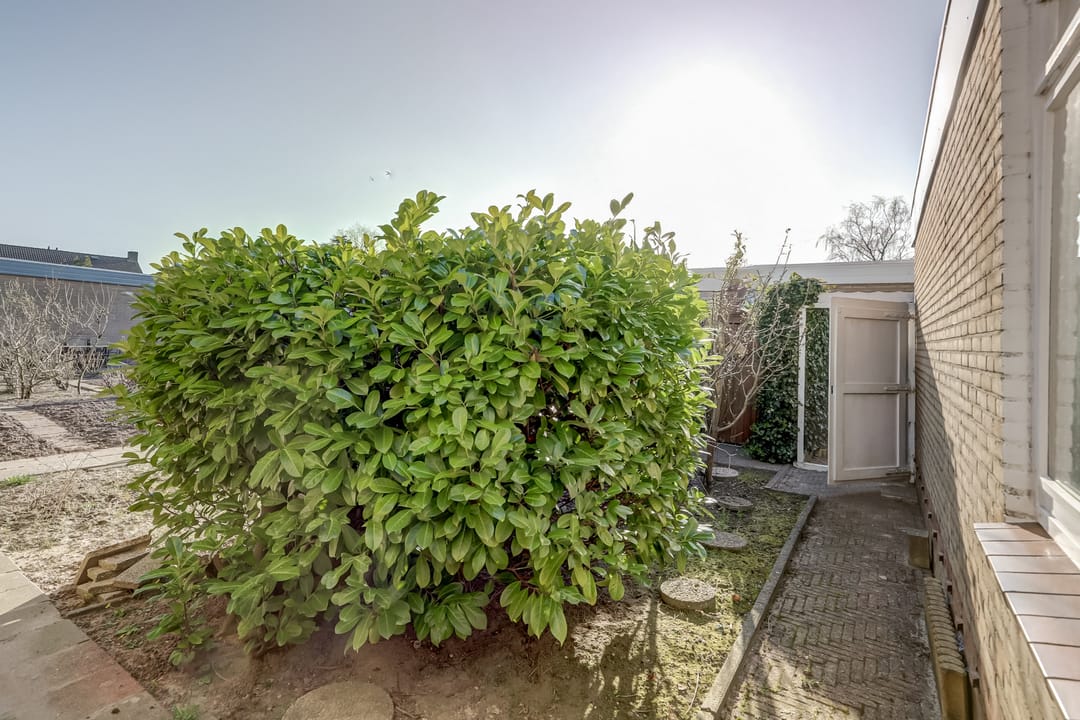 Foto 38 van Albrecht van Beierenstraat 3