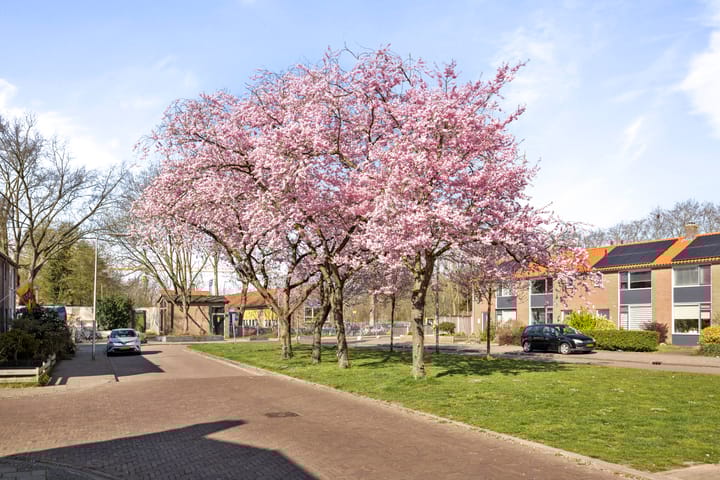 Foto 34 van Eefdestraat 13