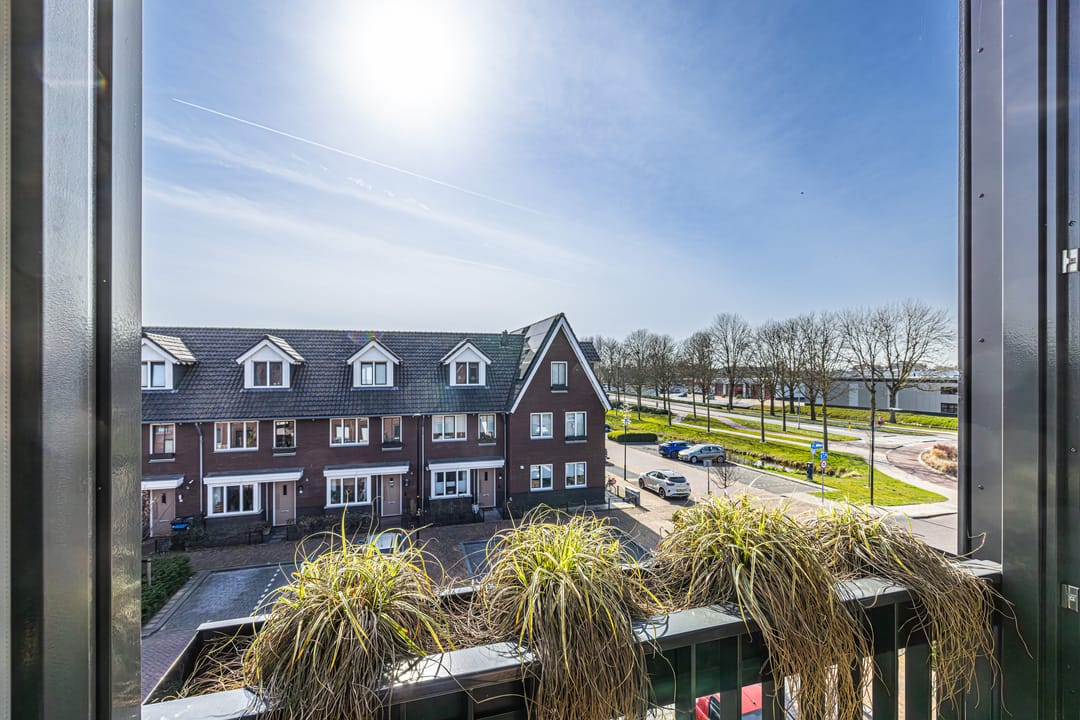 Foto 17 van Meeroever 97