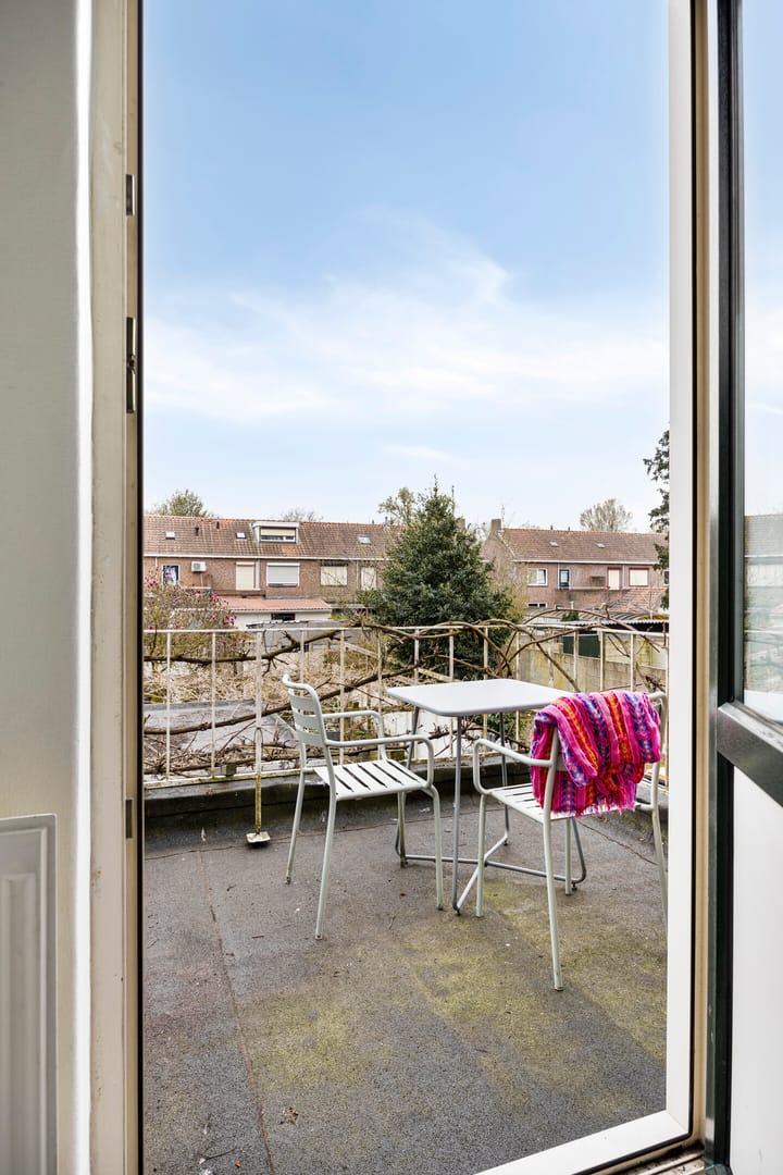 Foto 30 van Danie Theronstraat 18