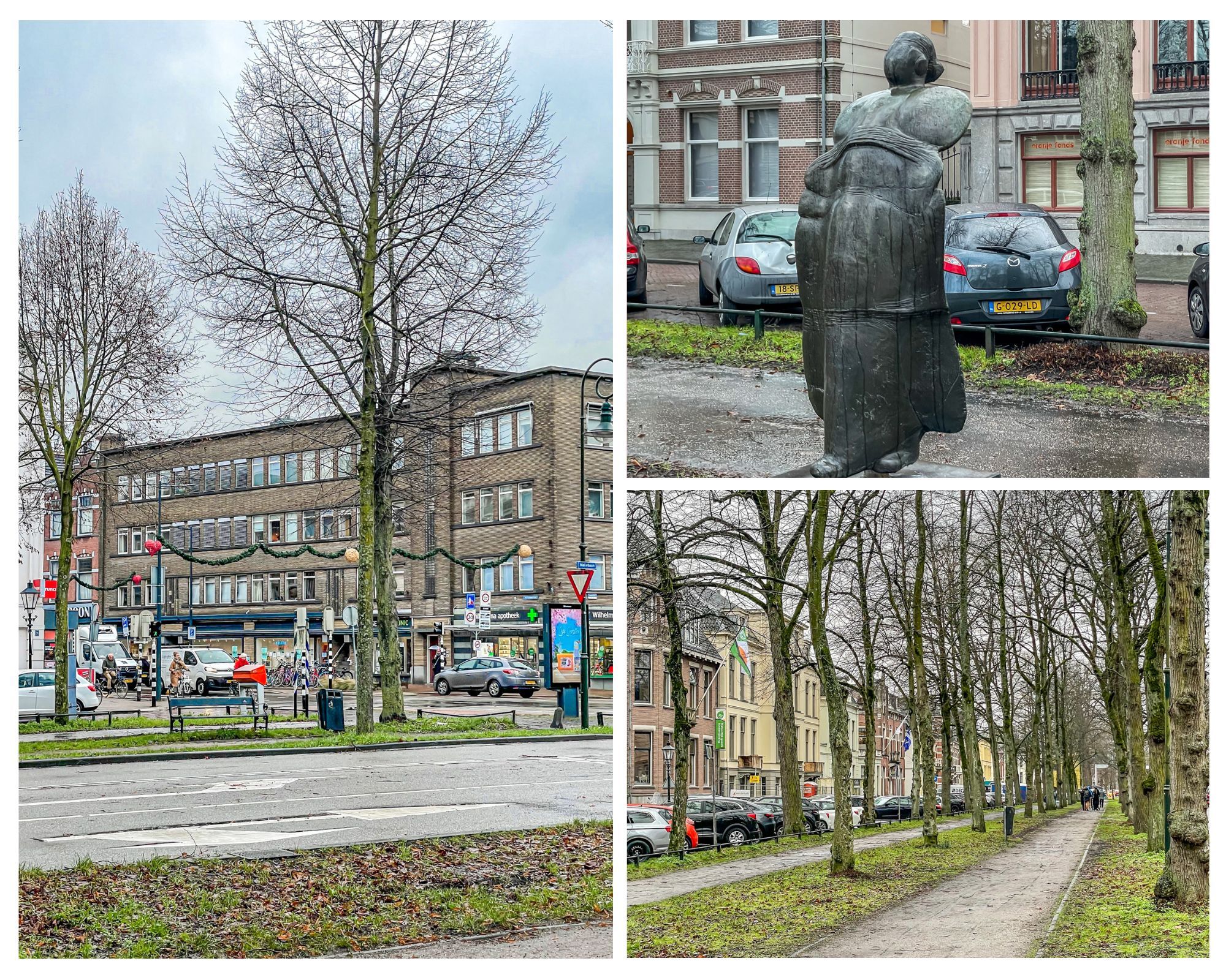 Photo 33 of Nachtegaalstraat 86-BSA