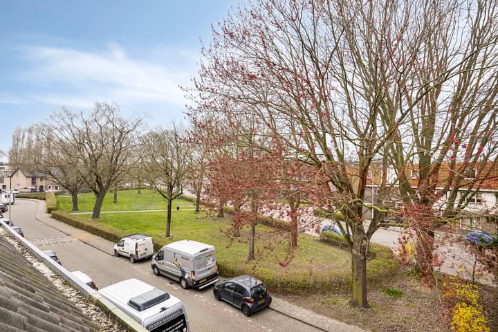 Foto 50 van Danie Theronstraat 18