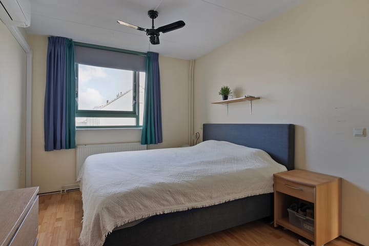 Foto 9 van Pijlkruid 7