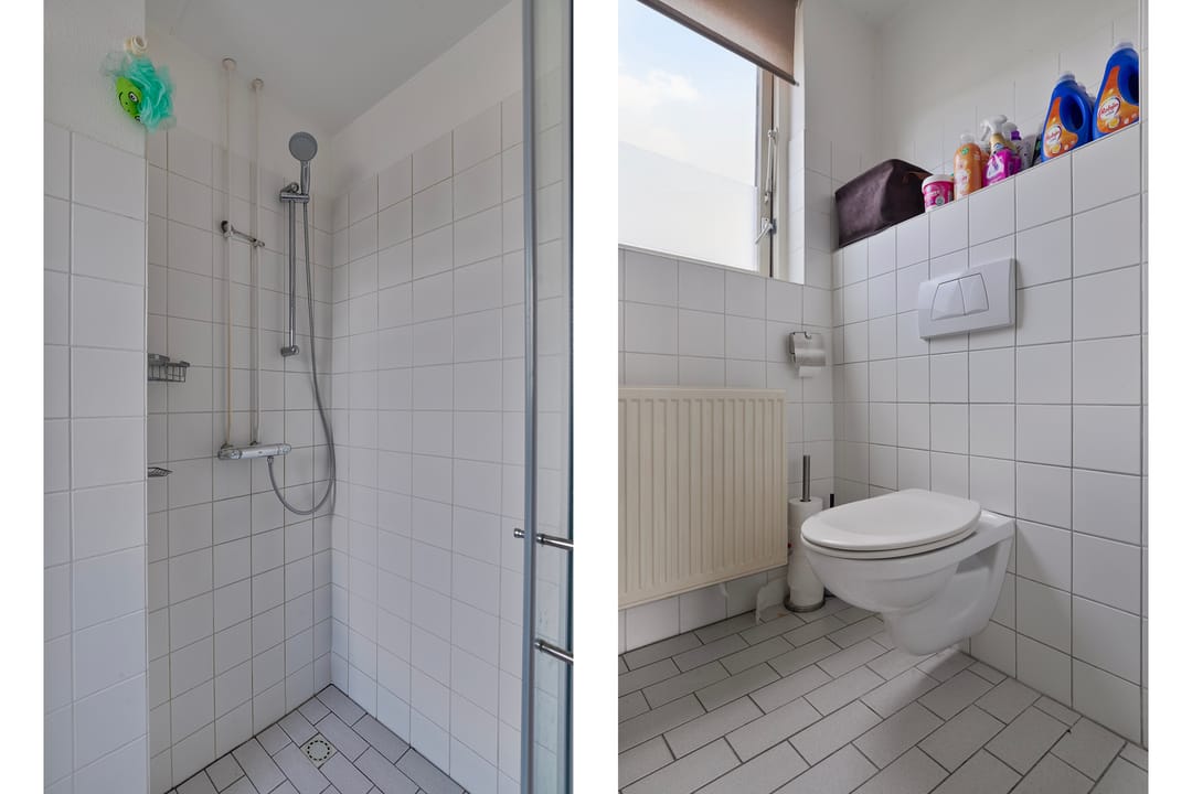 Photo 11 of Pijlkruid 7