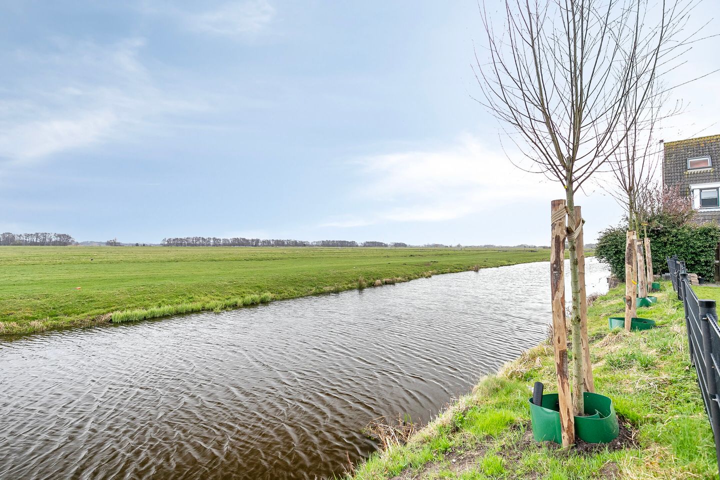 Photo 20 of Pijlkruid 7