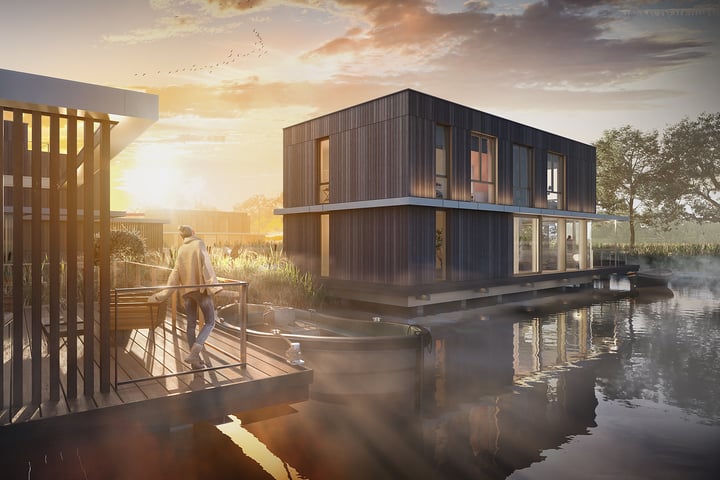 Foto 3 van Plas