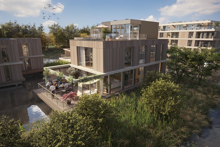 Foto 5 van Plas