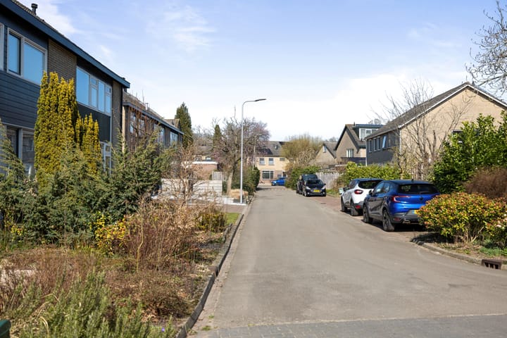 Foto 35 van Pikeursbaan 12