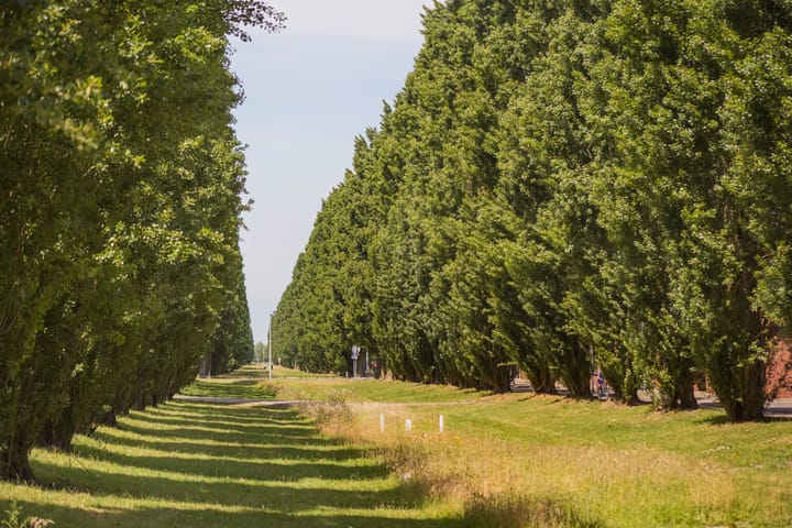 Foto 61 van Jean Gilbertlaan 40