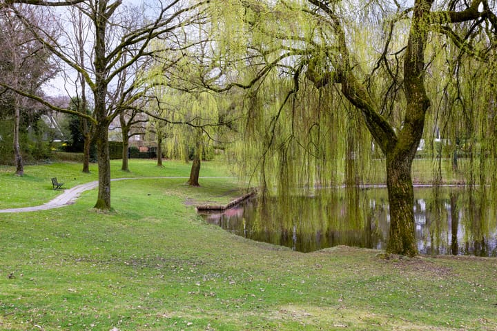 Foto 26 van Bentheimerstraat 90