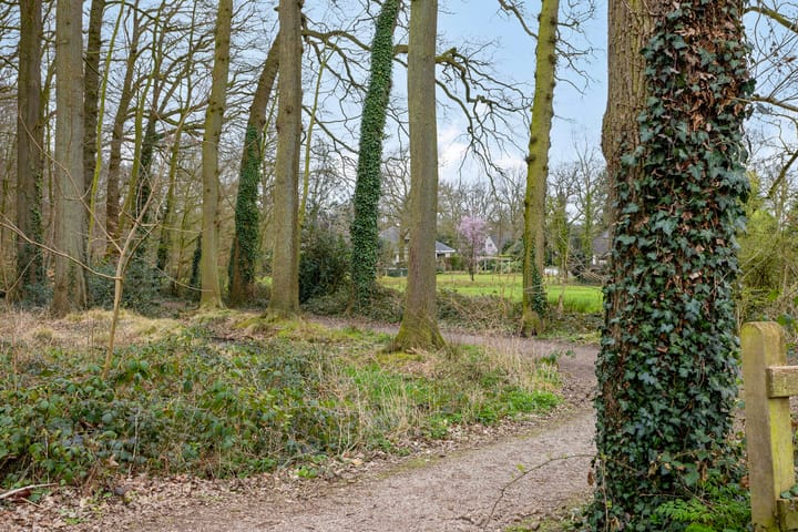 Foto 28 van Bentheimerstraat 90