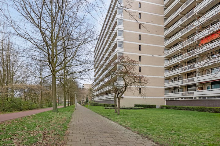 Foto 38 van de Koppele 95