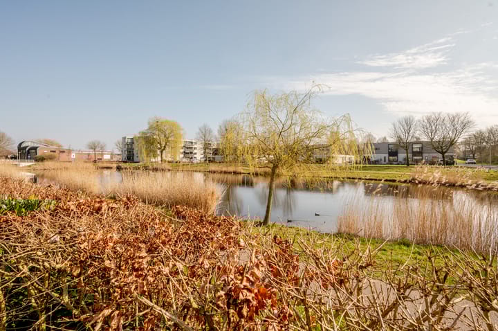 Foto 36 van Kleine Beer 27