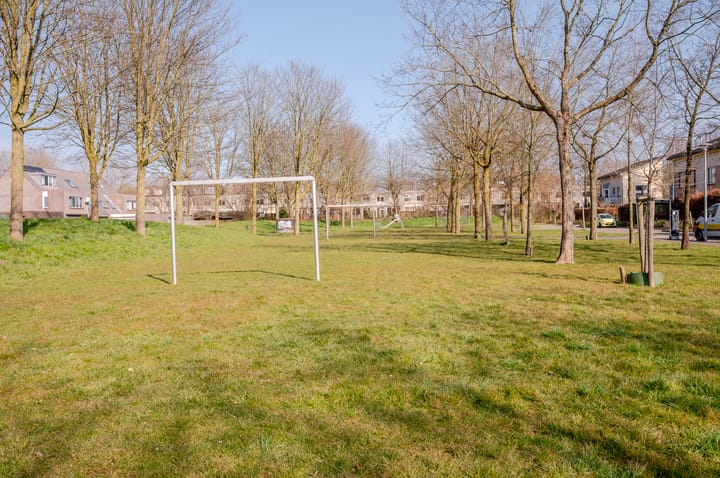 Foto 42 van Kleine Beer 27