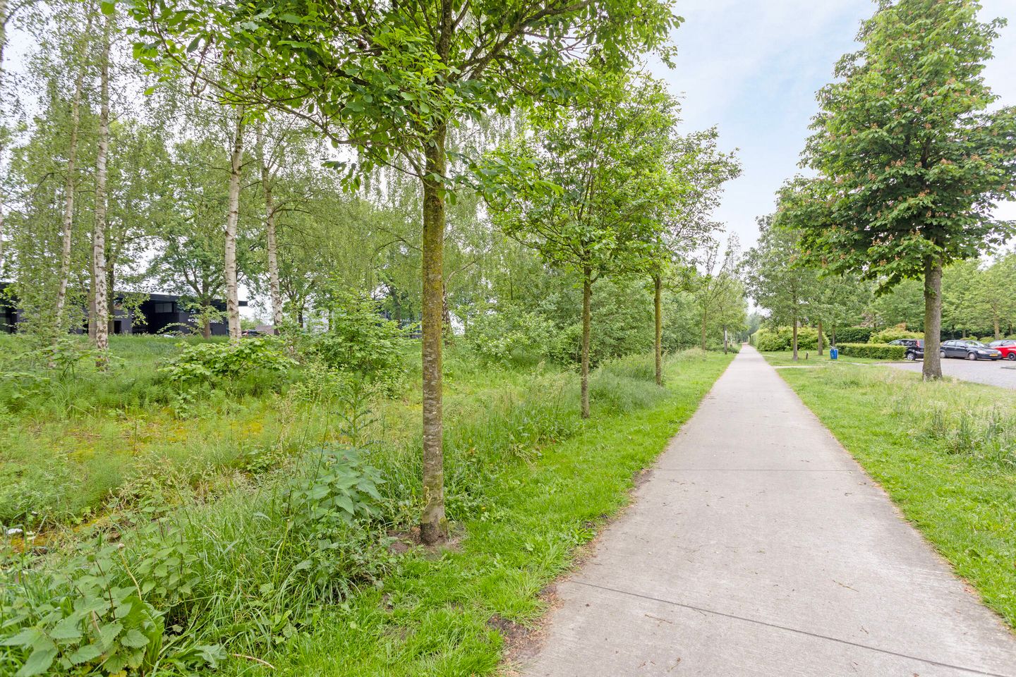 Foto 25 van Barcelona 6