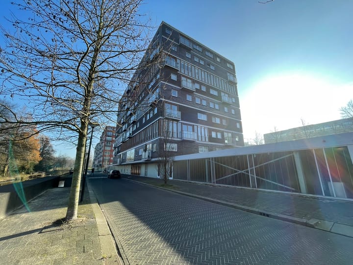 Anna Blamansingel 168