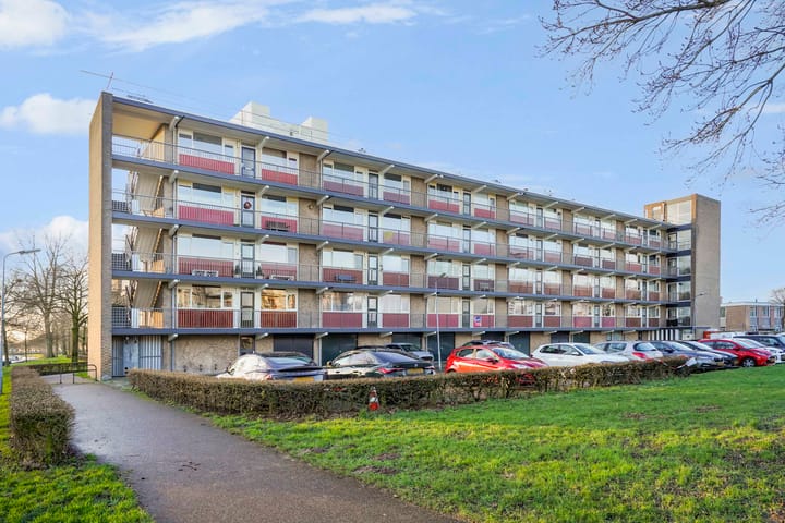 Foto 25 van van Reysstraat 89