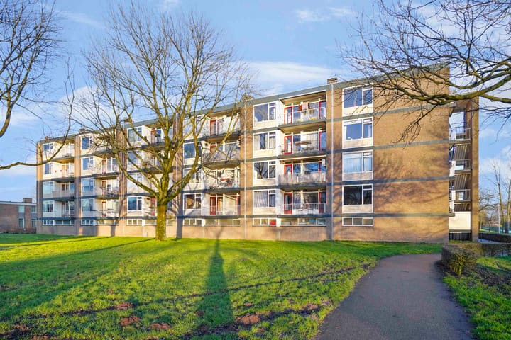 Foto 27 van van Reysstraat 89