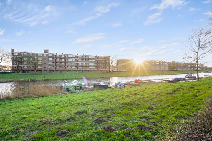 Foto 28 van van Reysstraat 89