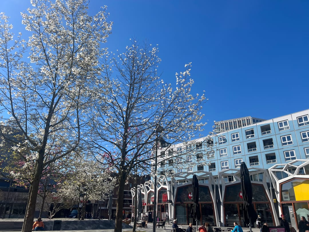 Foto 38 van Markt 403