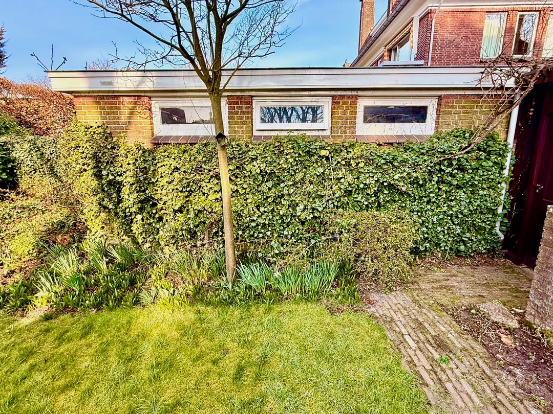 Foto 16 van Zijdelaan 29