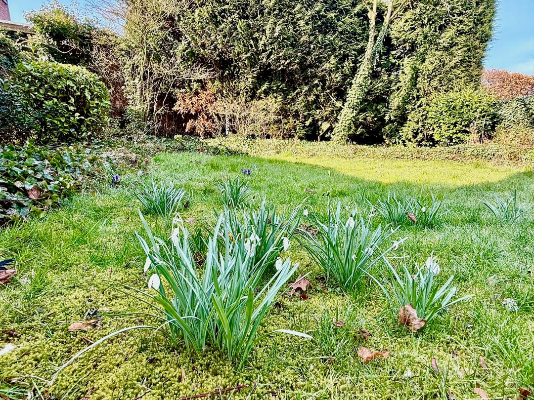 Foto 17 van Zijdelaan 29