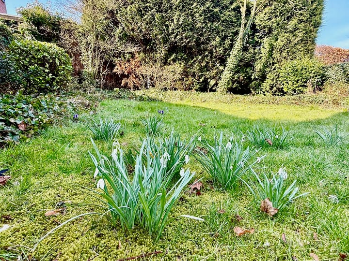 Foto 17 van Zijdelaan 29