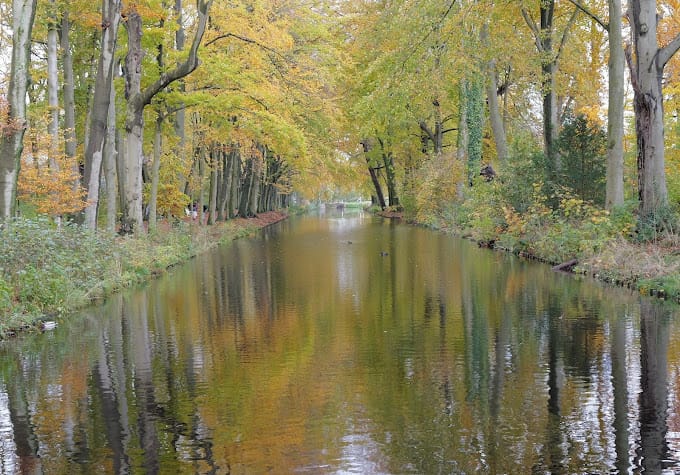 Foto 38 van Zijdelaan 29