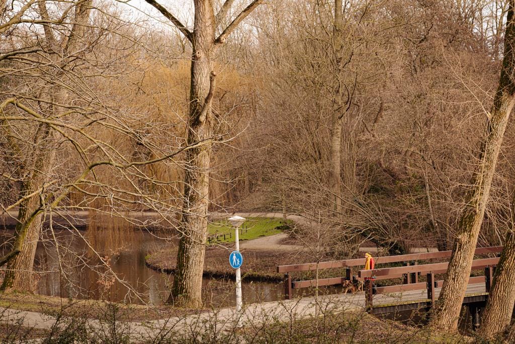 Photo 35 of Beethovenstraat 205