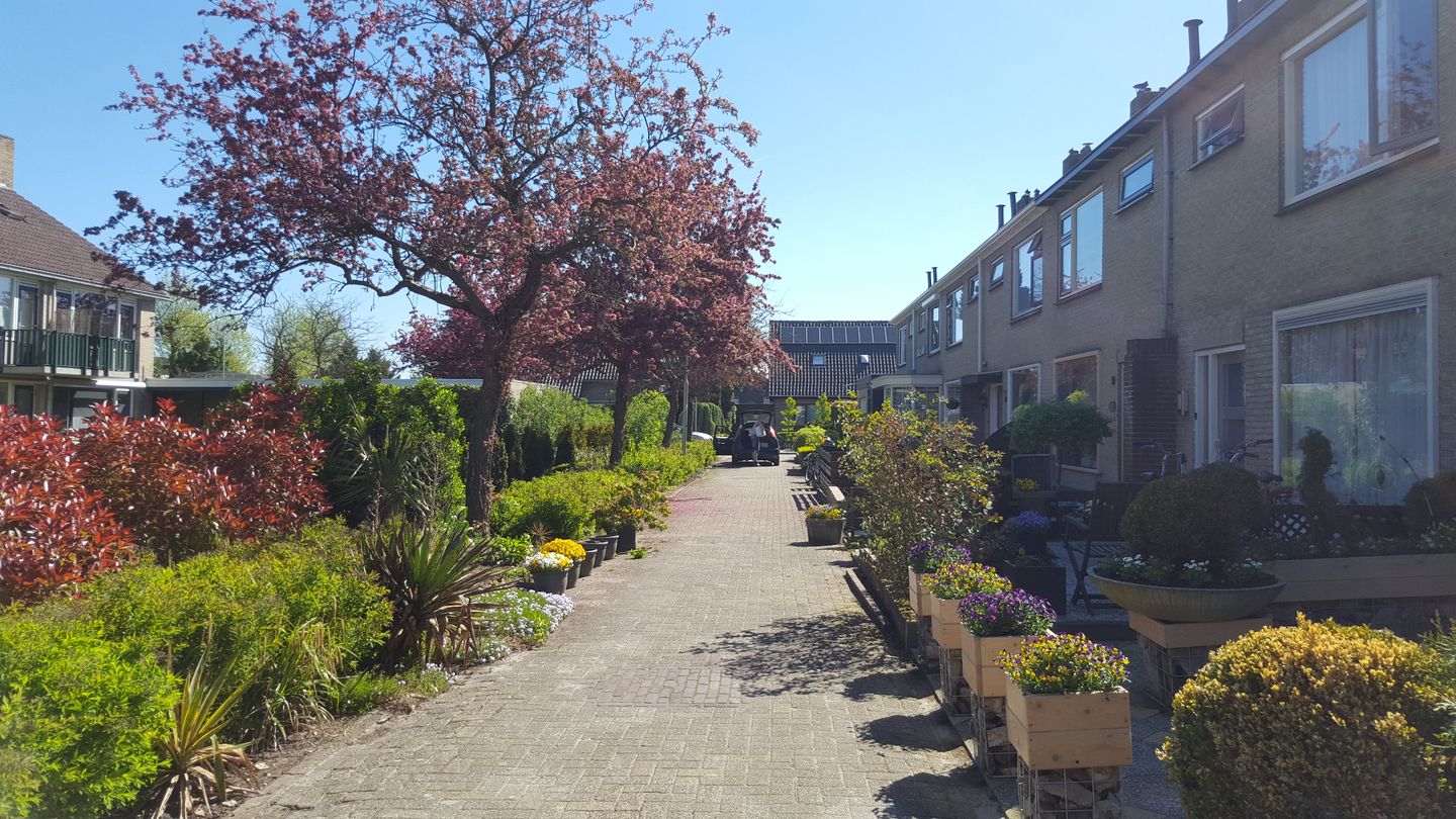 Foto 4 van Oranje Nassaustraat 14-A