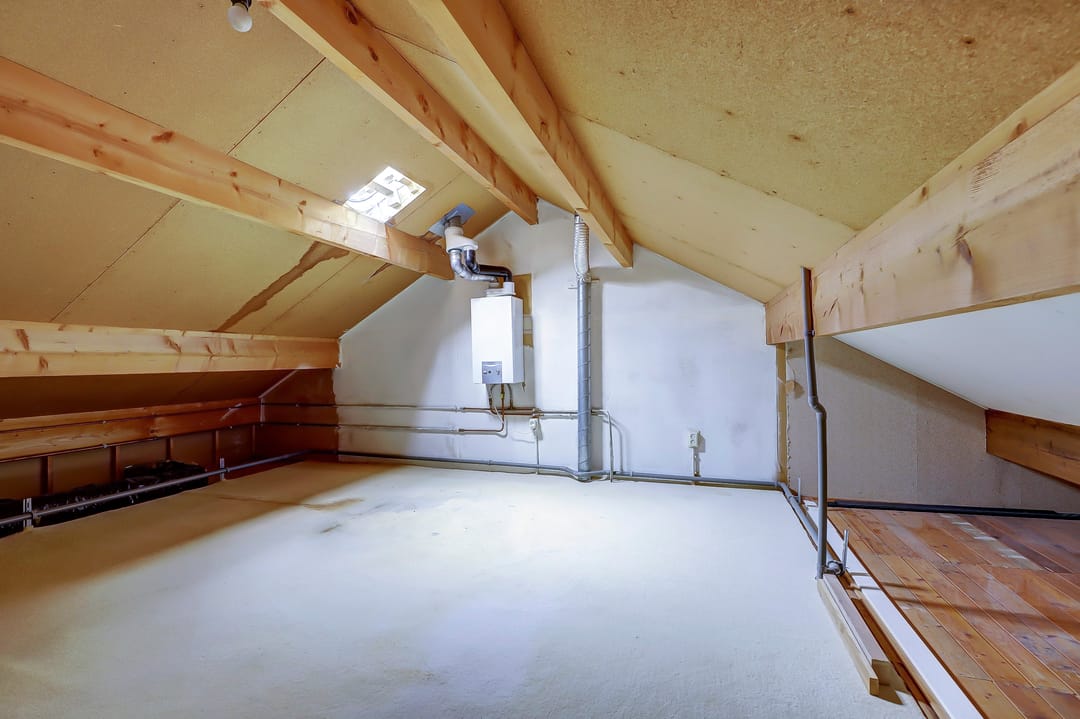 Foto 22 van Rietvoorn 12