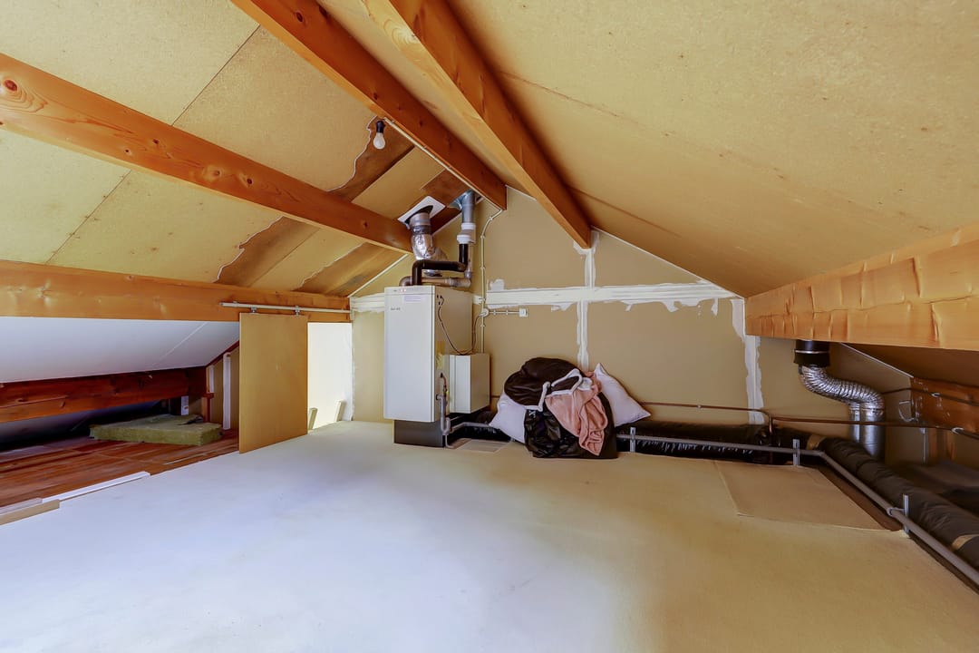 Foto 23 van Rietvoorn 12