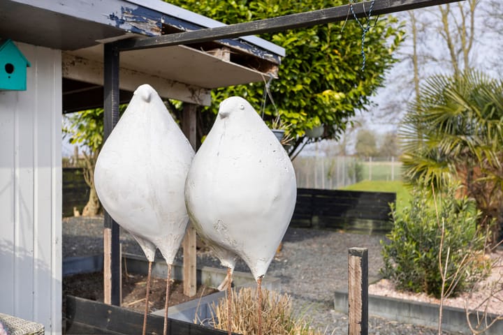 Foto 63 van Hoofdstraat 64