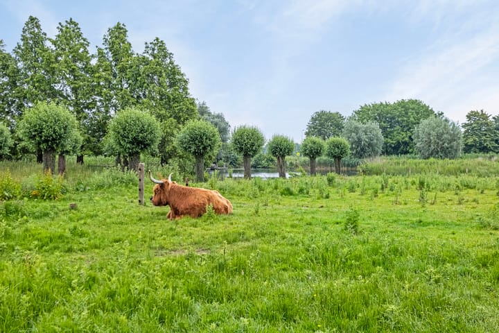 Foto 37 van Pruimendijk 172