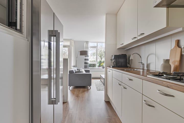 Foto 9 van Springerstraat 69