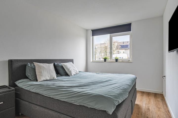 Foto 10 van Springerstraat 69