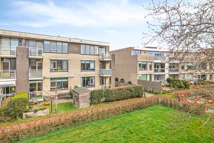 Foto 23 van Springerstraat 69