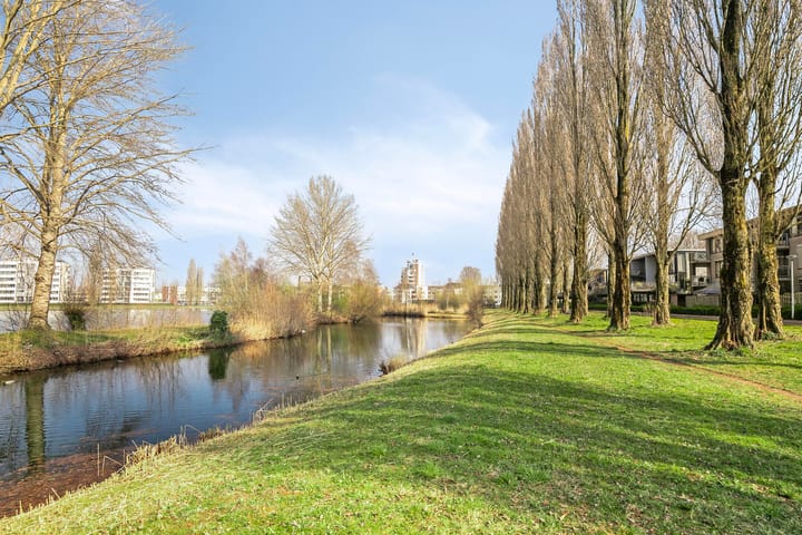 Foto 4 van Springerstraat 69