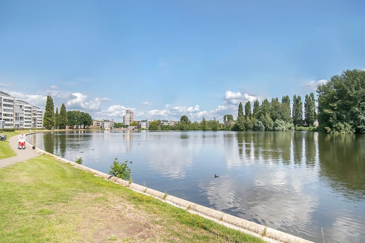 Foto 27 van Springerstraat 69