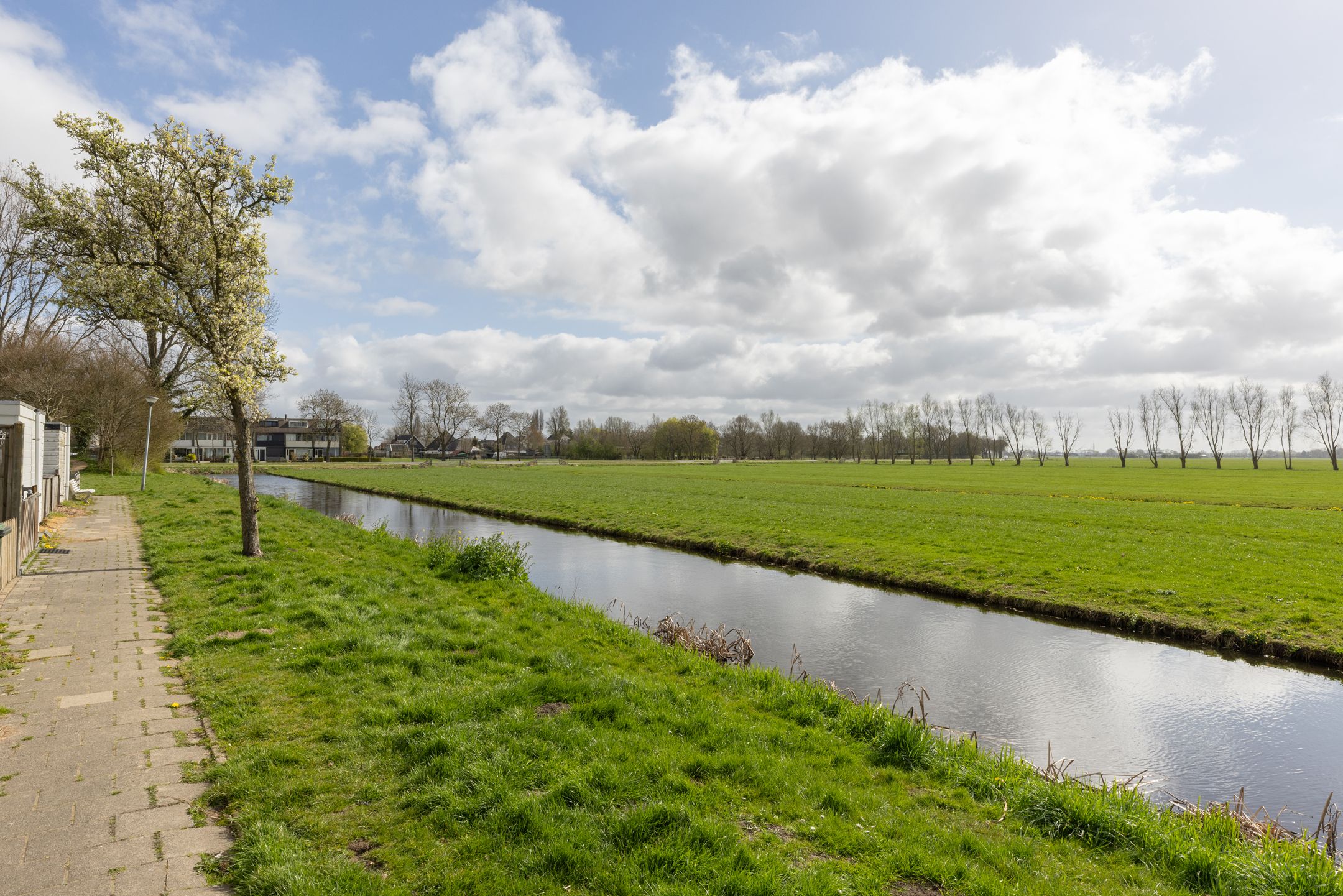 Photo 24 of Reigersweide 166