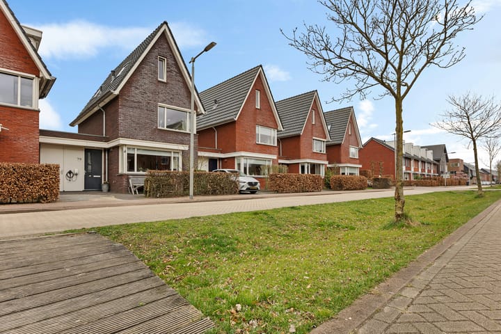 Foto 49 van Centraalspoor 79